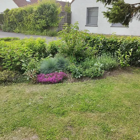 Feriehus Cosy De Haan